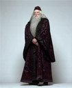 hpfilmsedspersoalbusdumbledore002.jpg