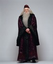 hpfilmsedspersoalbusdumbledore003.jpg