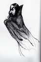 jkrowlingdessinshpseverusrogue003bis2.jpg