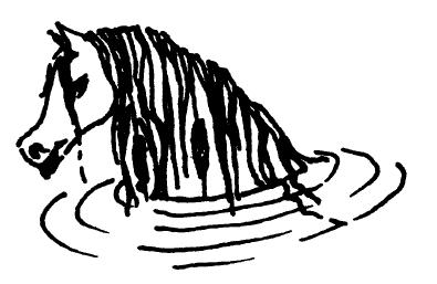 Kelpy
