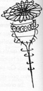 jkrowlingdessinshpbillywig001.jpg