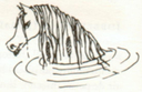 jkrowlingdessinshpkelpy001bis.jpg