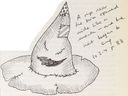 jkrowlingdessinshpchoixpeaumagique005.jpg