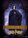 hpfilmsedsposteranglaisuk011.jpg