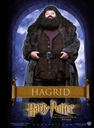 hpfilmsedsposteranglaisuk012.jpg