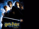 hpfilmscdsposteranglais021.jpg