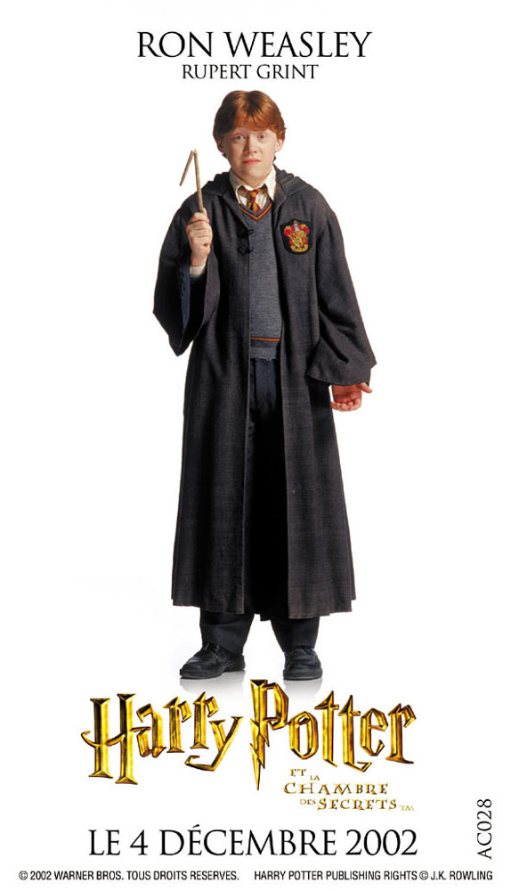 hpfilmscdsposterfrancais005.jpg
