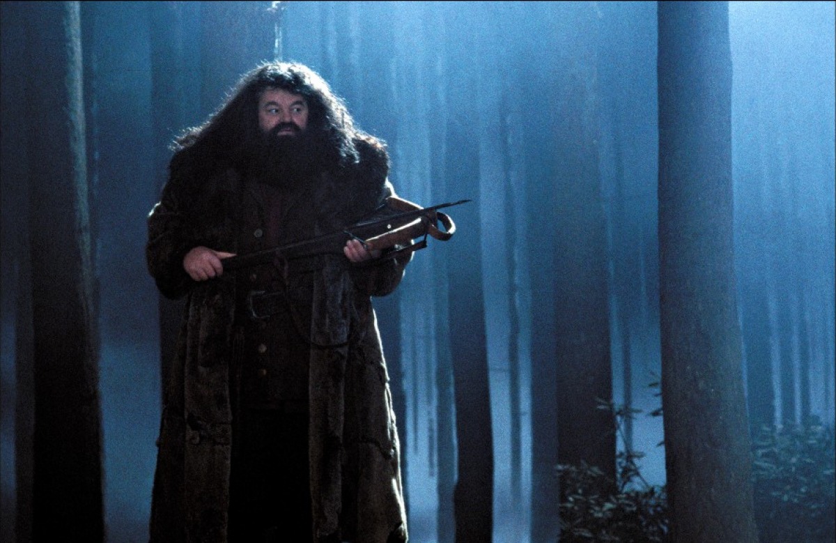hpfilmsedspromo083.jpg