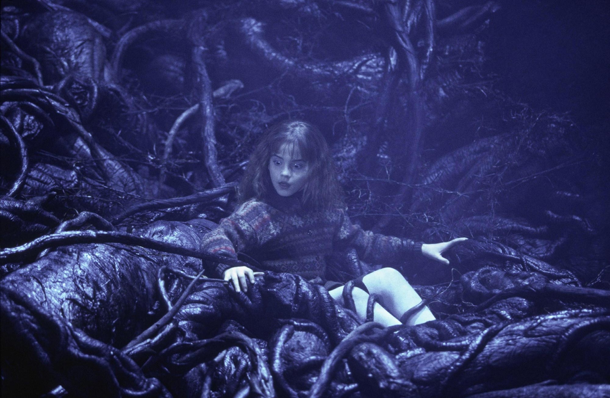 hpfilmsedspromo090.jpg
