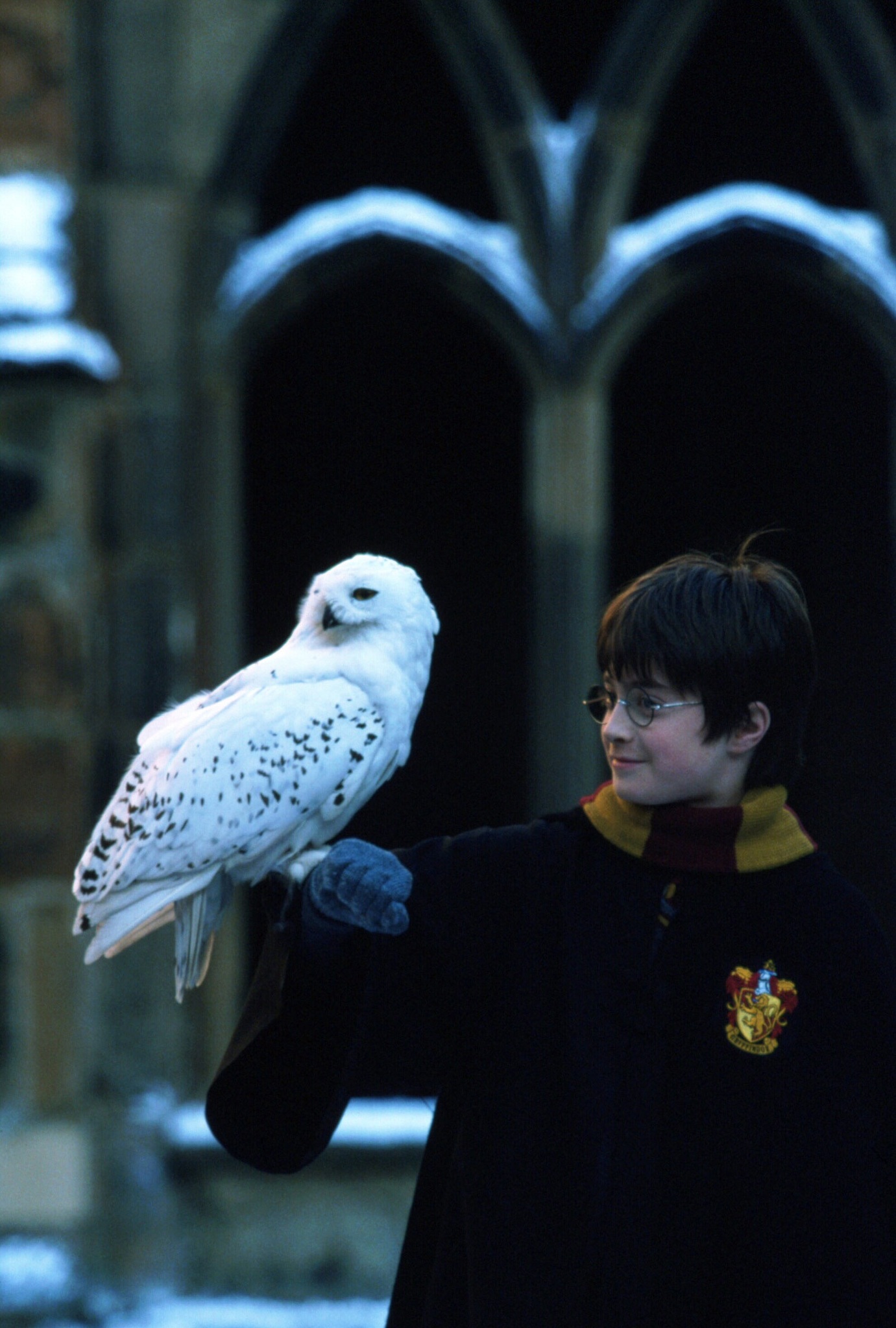 hpfilmsedspromo128.jpg