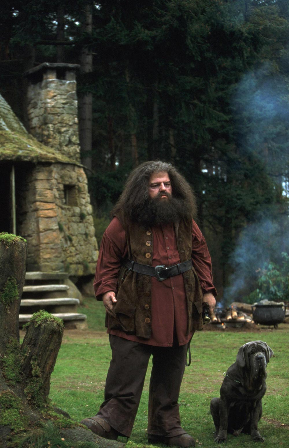 hpfilmsedspromo132.jpg