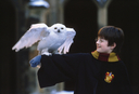 hpfilmsedspromo040.jpg