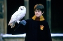 hpfilmsedspromo041.jpg
