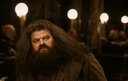 hpfilmsedspromo064.jpg