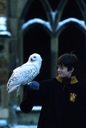 hpfilmsedspromo128.jpg