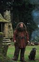 hpfilmsedspromo132.jpg