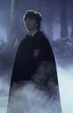 hpfilmsedspromo143.jpg