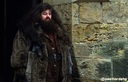 hpfilmsedspromo155.jpg