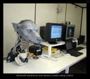 hpfilmspdatournageloupgarou002.jpg