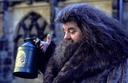 hpfilmscdspromo054.jpg
