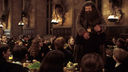hpfilmscdspromo058.jpg