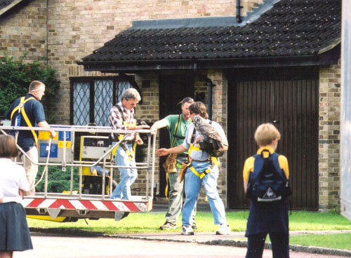 hpfilmsedstournageprivetdrive005.jpg