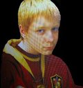 hpfilmsedspersojumeauxweasley002.jpg