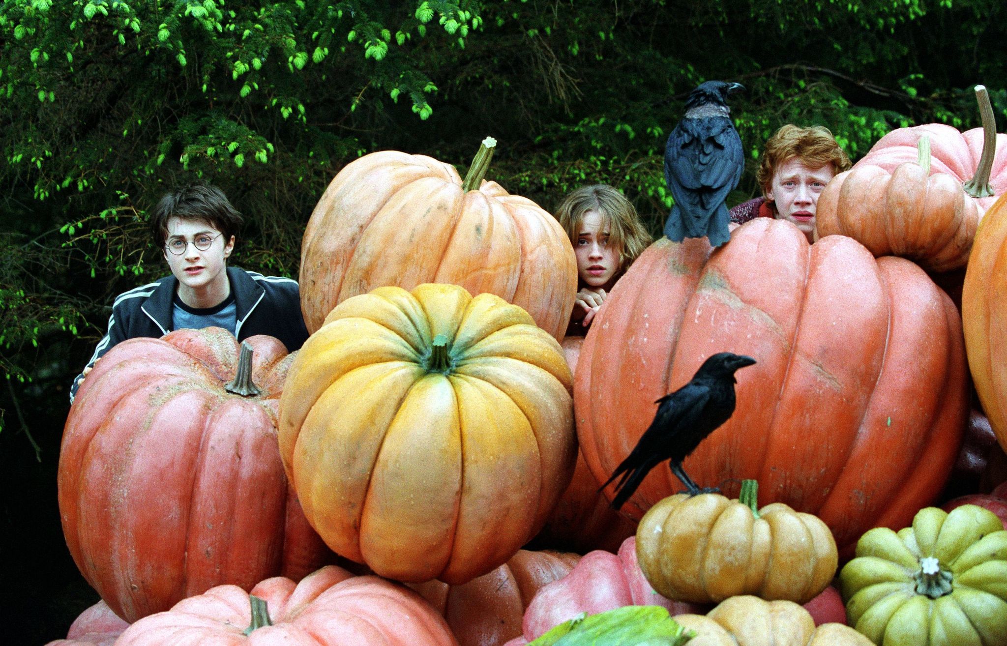 hpfilmspdapromo020.jpg