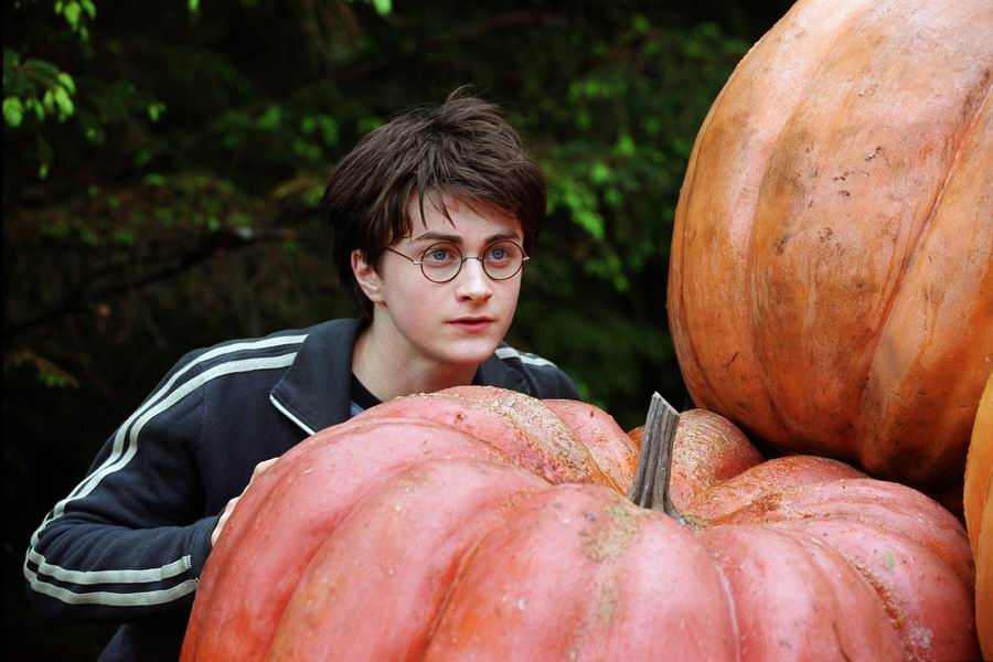 hpfilmspdapromo021.jpg