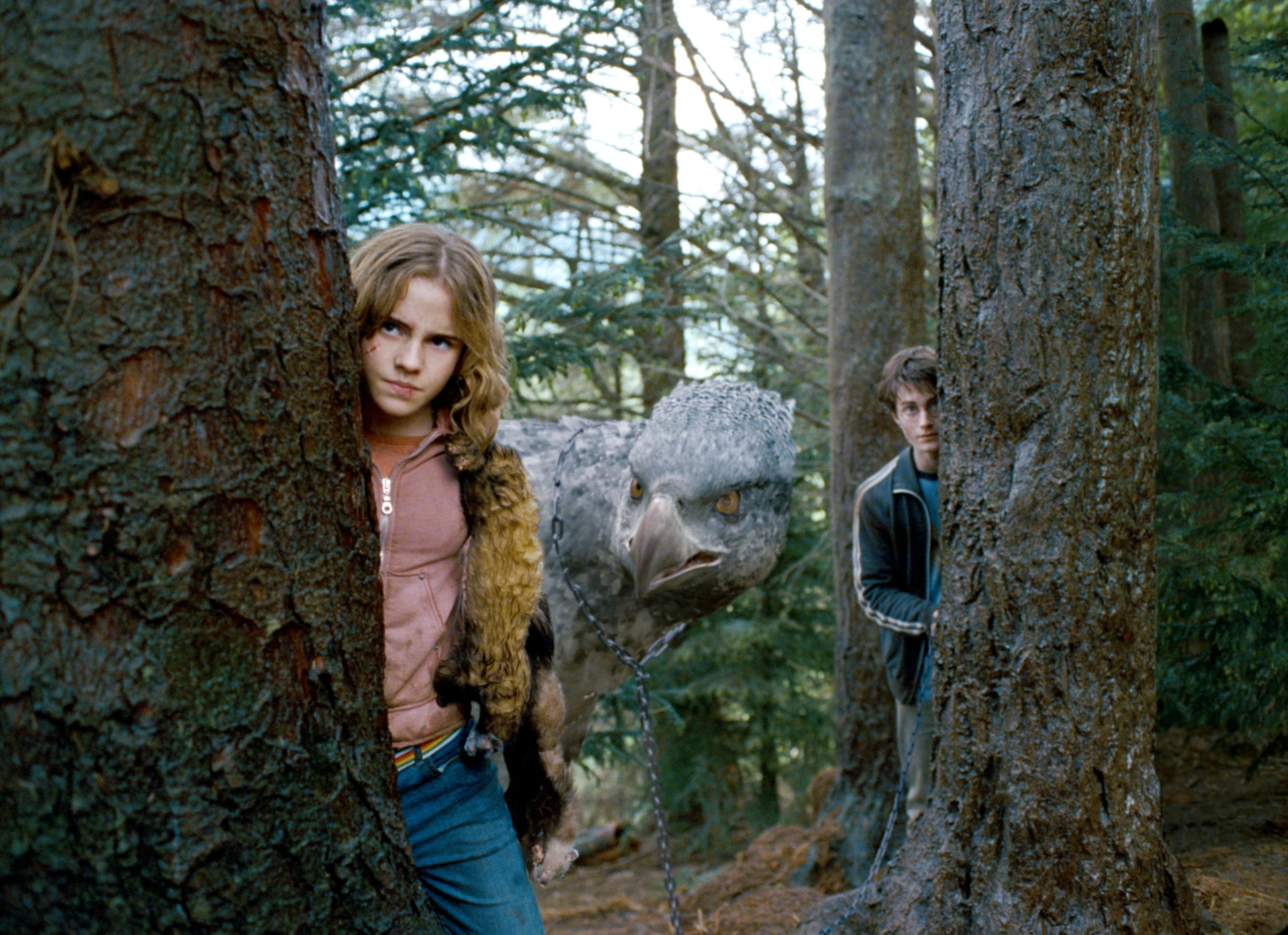 hpfilmspdapromo027.jpg