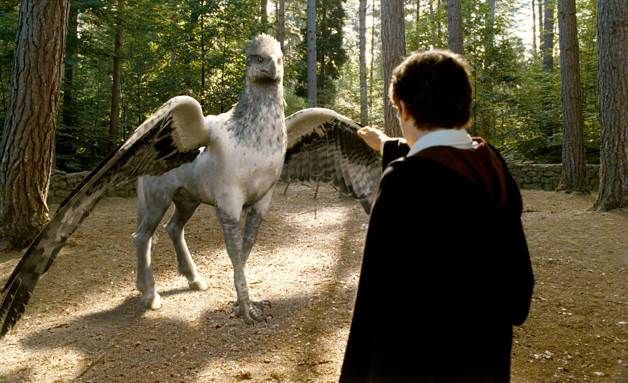 hpfilmspdapromo045.jpg