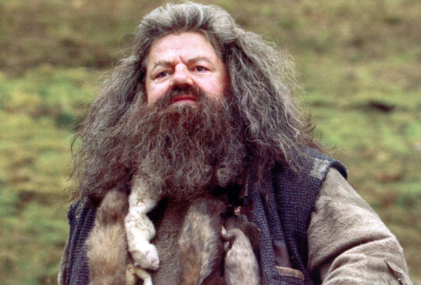 hpfilmspdapromo124.jpg