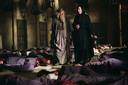 hpfilmspdapromo007.jpg