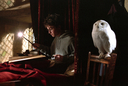 hpfilmspdapromo014.jpg