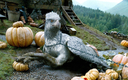 hpfilmspdapromo023.jpg