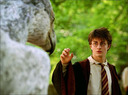 hpfilmspdapromo042.jpg