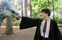 hpfilmspdapromo043.jpg