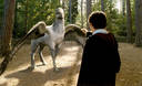 hpfilmspdapromo045.jpg