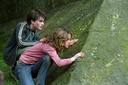 hpfilmspdapromo062.jpg