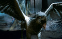 hpfilmspdapromo097.jpg