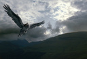 hpfilmspdapromo142.jpg