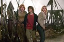 hpfilmscdfpromo060.jpg