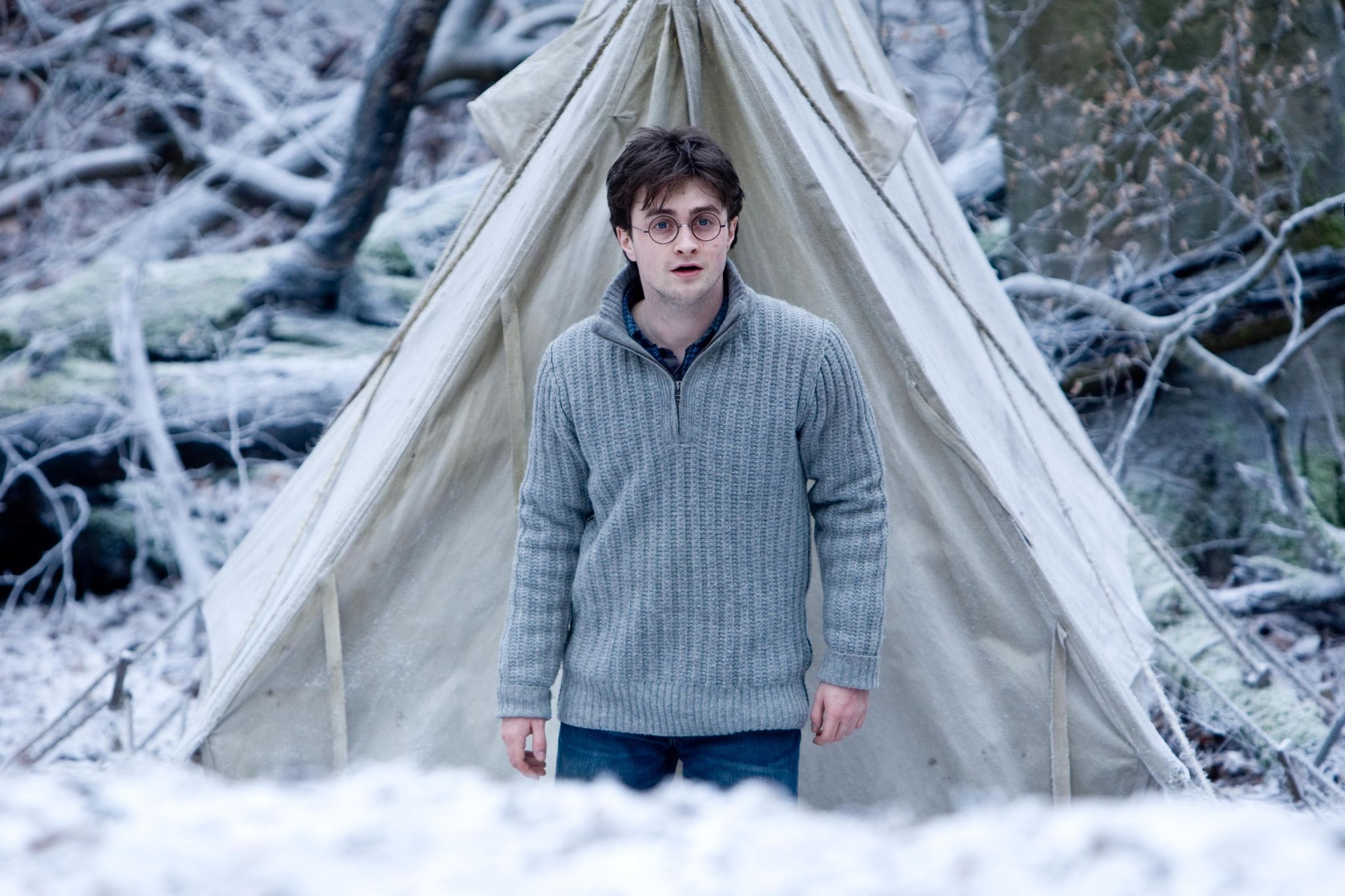 hpfilmsrdm1promo011.jpg