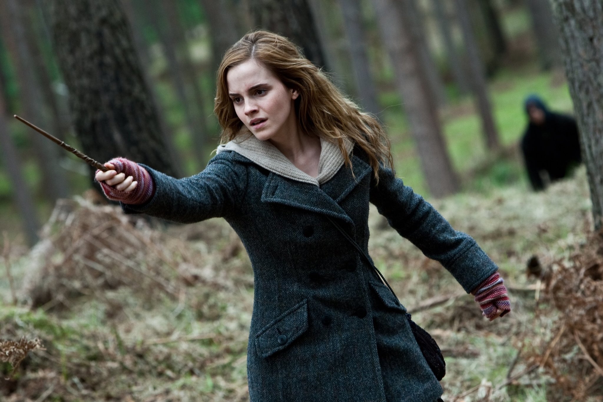 hpfilmsrdm1promo012.jpg