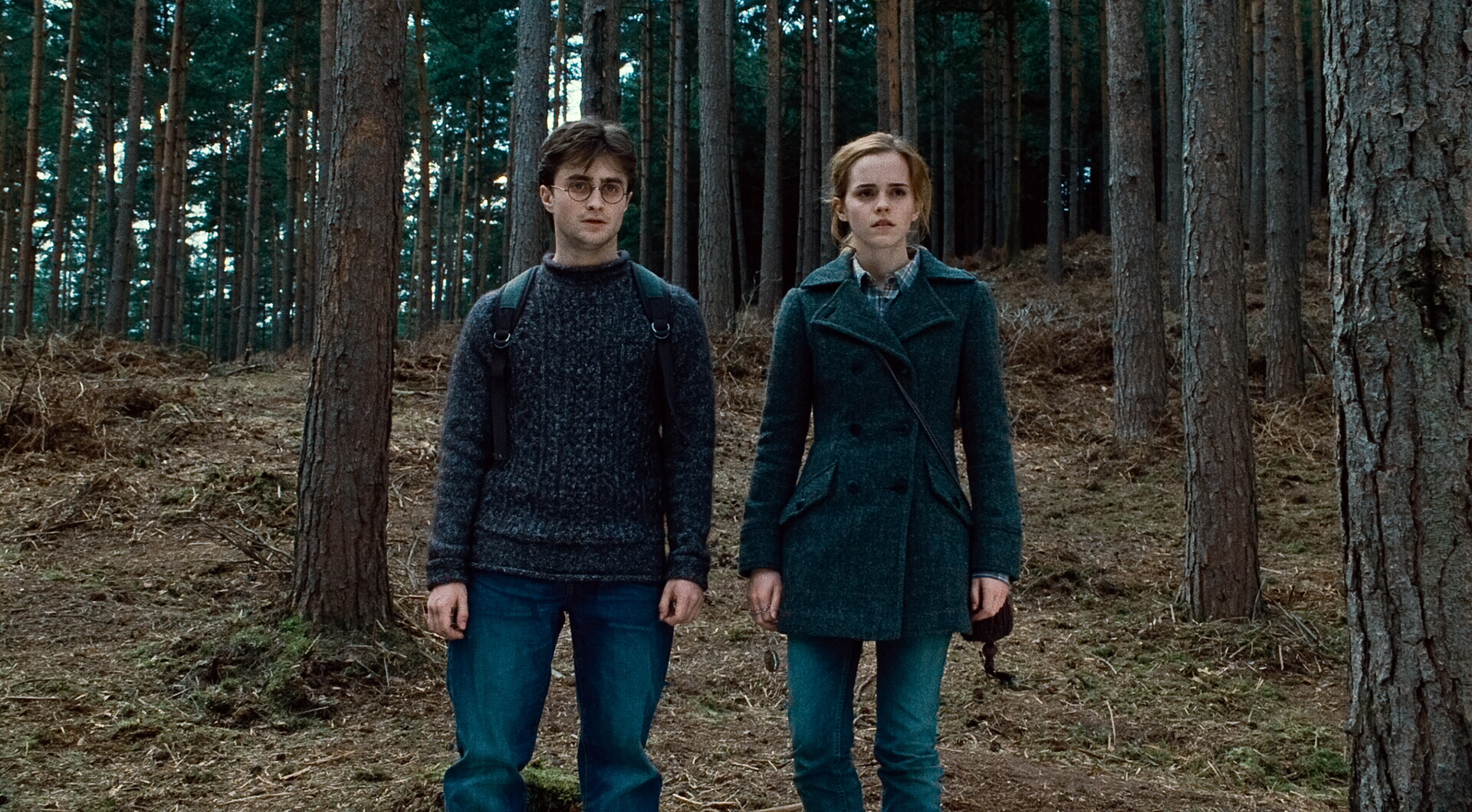 hpfilmsrdm1promo016.jpg