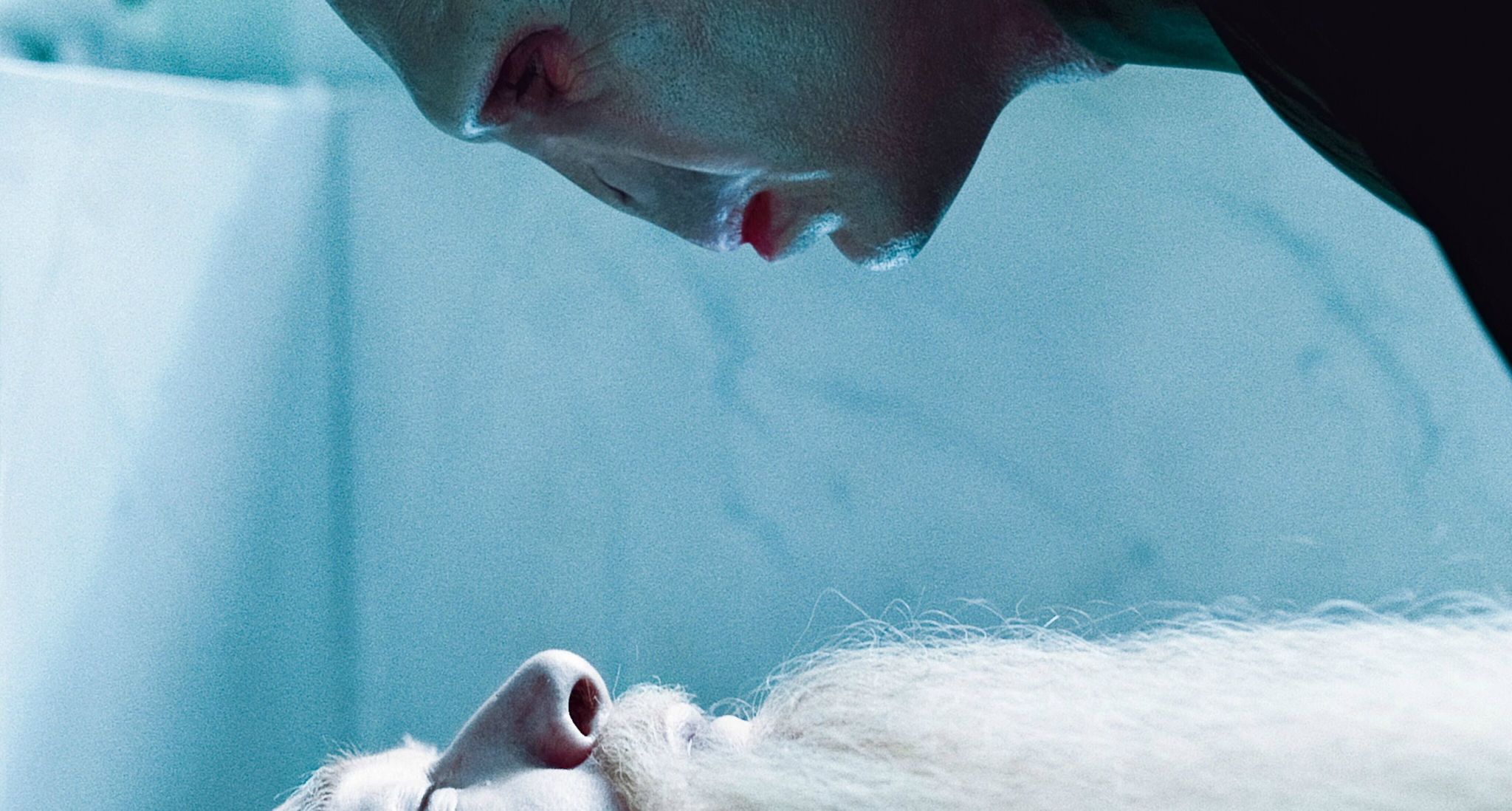 hpfilmsrdm1promo088.jpg