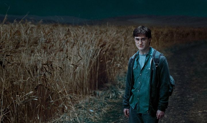 hpfilmsrdm1promo091.jpg