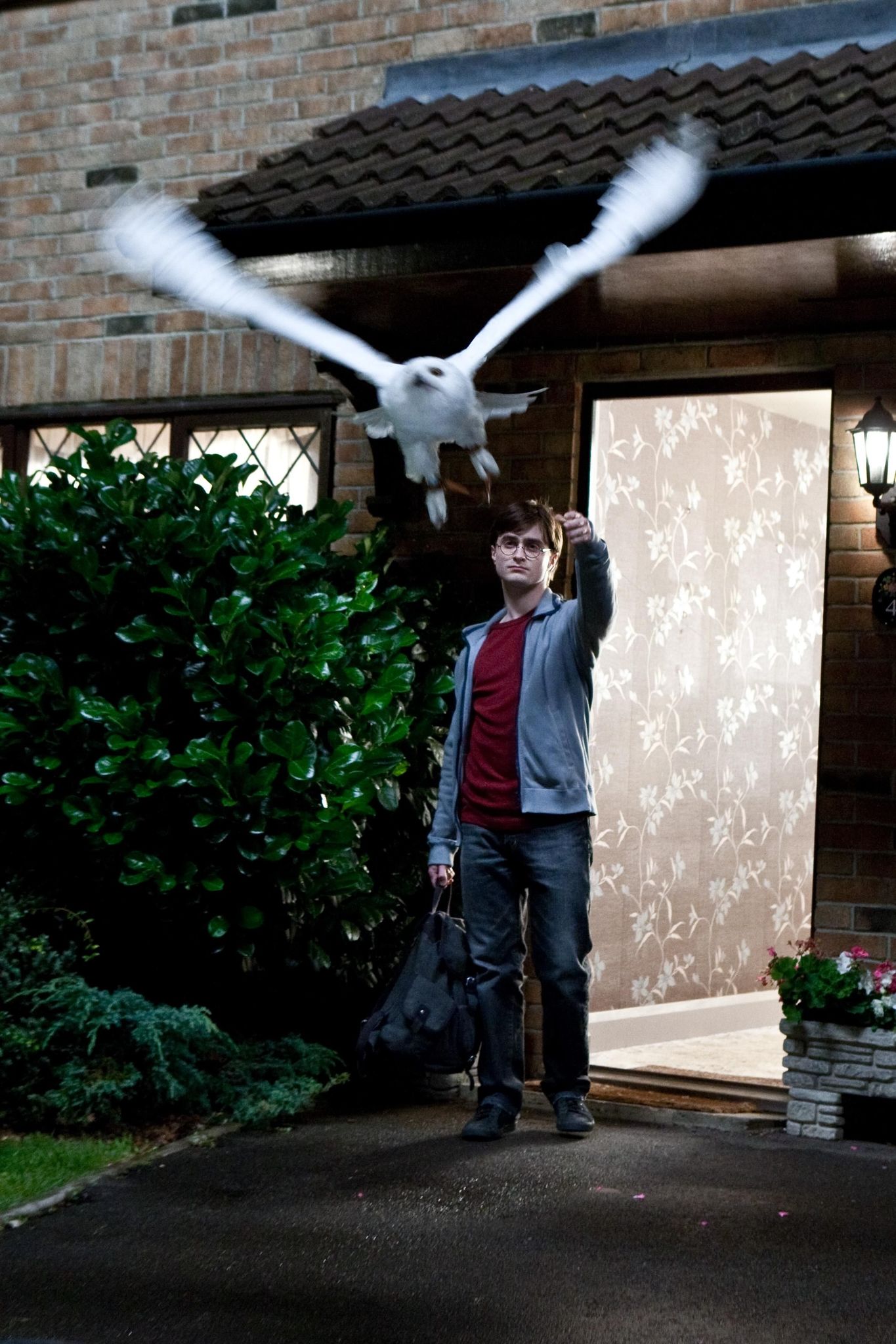 hpfilmsrdm1promo115.jpg