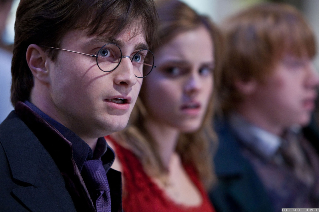 hpfilmsrdm1promo122.jpg