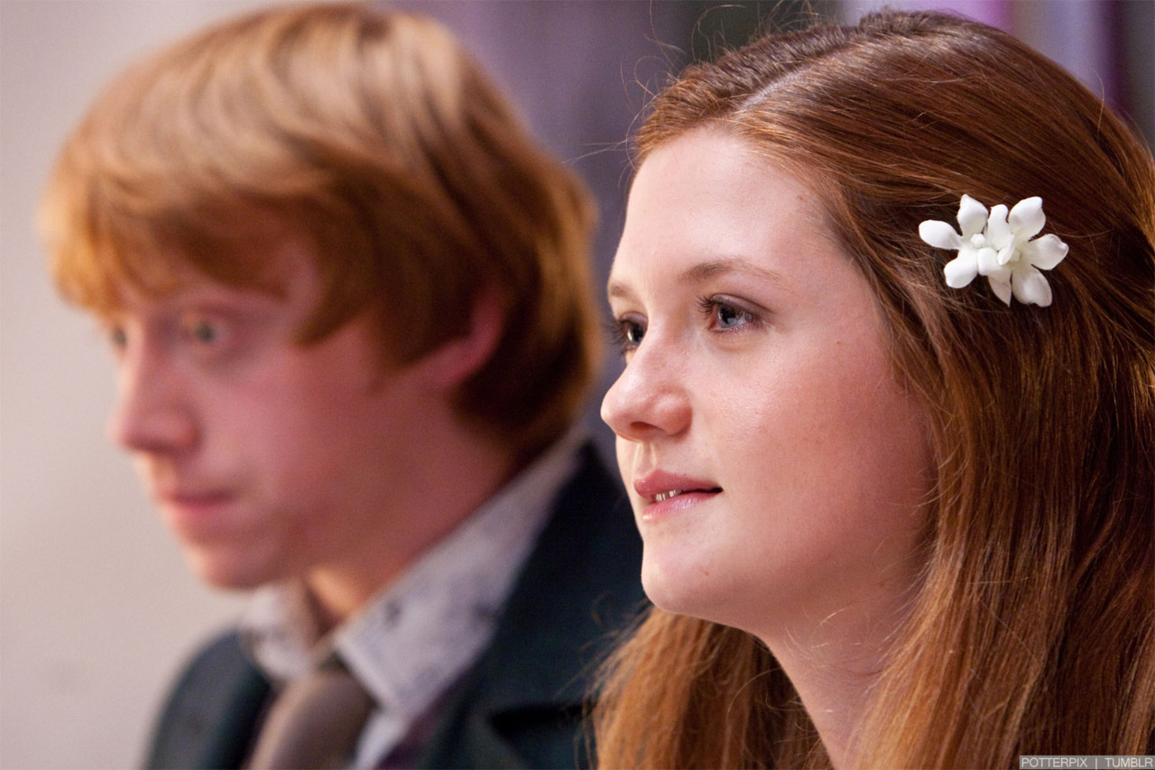 hpfilmsrdm1promo136.jpg